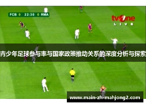 青少年足球参与率与国家政策推动关系的深度分析与探索
