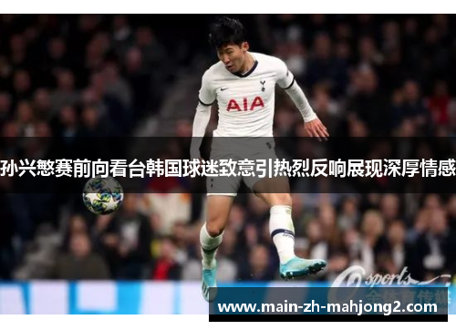 孙兴慜赛前向看台韩国球迷致意引热烈反响展现深厚情感