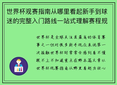 世界杯观赛指南从哪里看起新手到球迷的完整入门路线一站式理解赛程规则看点